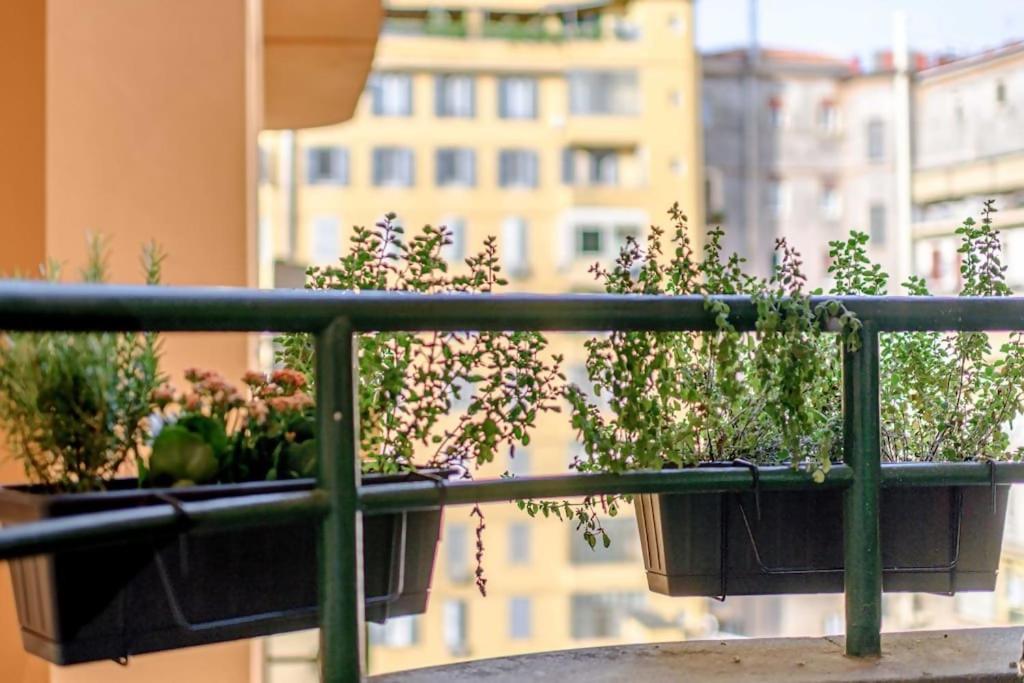 Riboty 10 Suites Rome Buitenkant foto